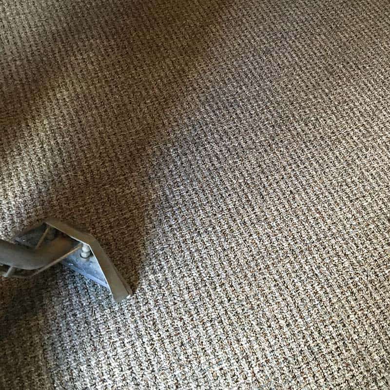 Deep cleaning and deodorizing for carpet in Greenville, SC